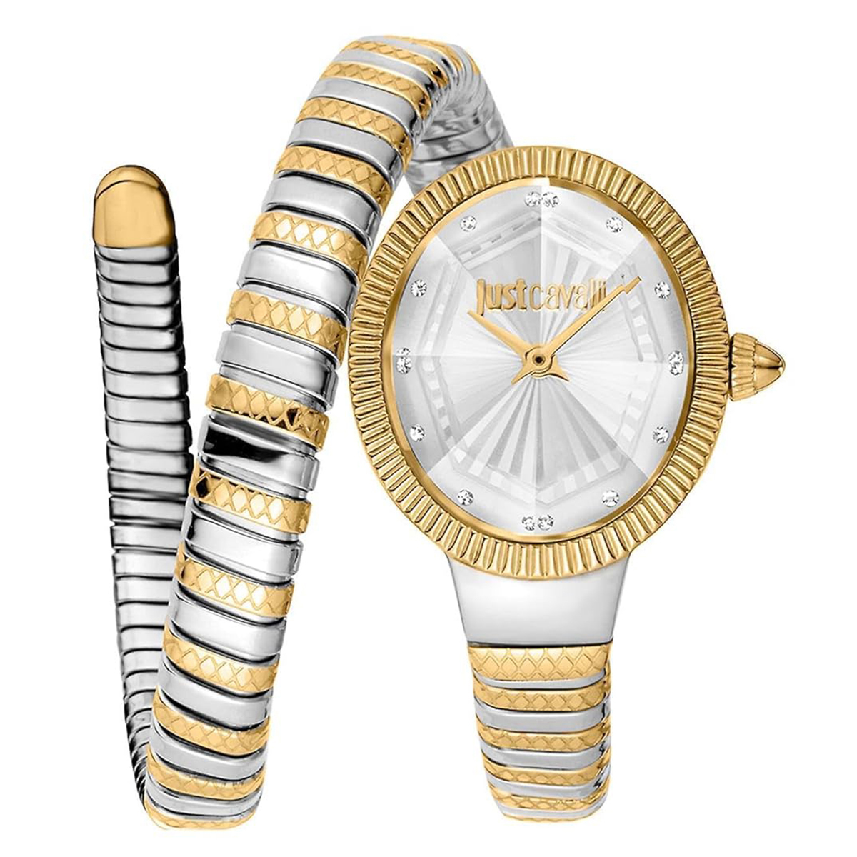 MONTRE JUST CAVALI FEMME ACIER